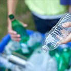 plastic bottle in recycle bin